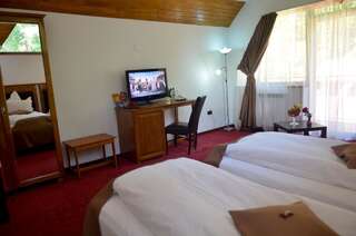 Отель Hotel Cumpatu Синая Двухместный номер с 2 отдельными кроватями и балконом с видом на лес-4